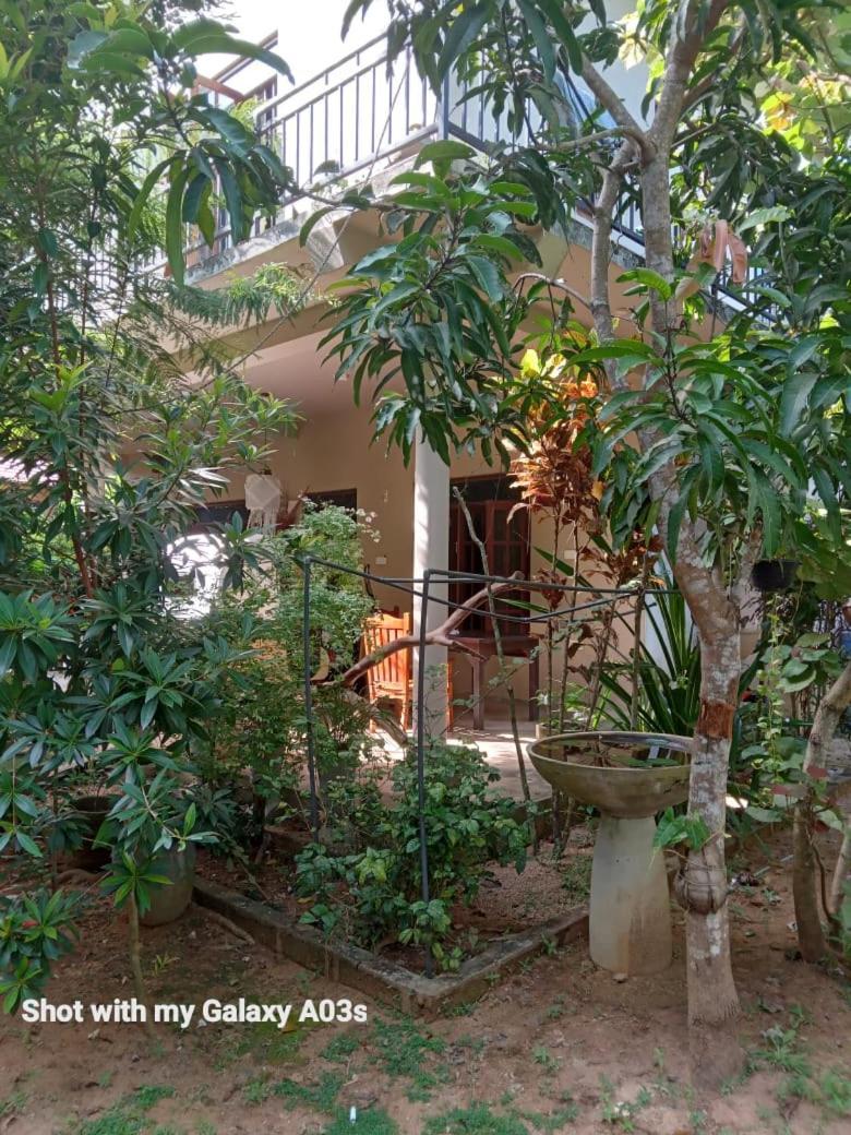 Bamboo Grove Villa Tangalle Buitenkant foto